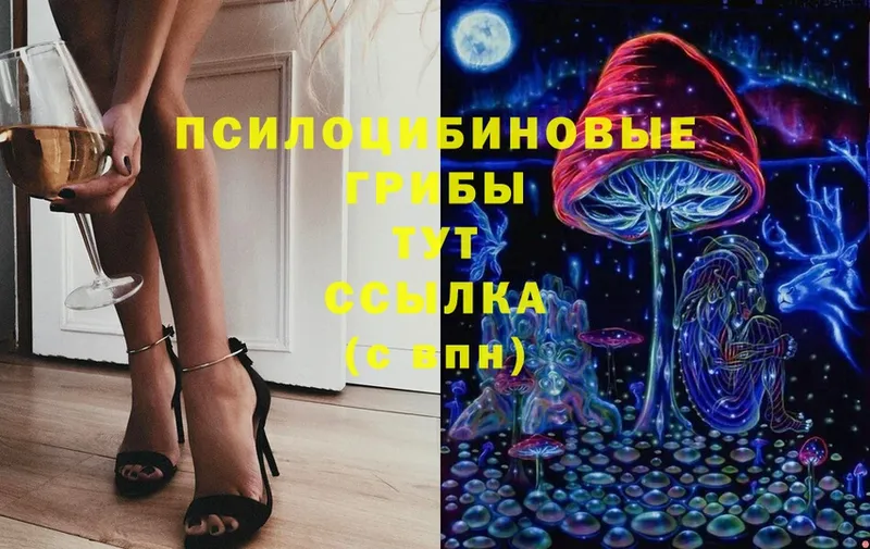 Псилоцибиновые грибы Cubensis  Бокситогорск 